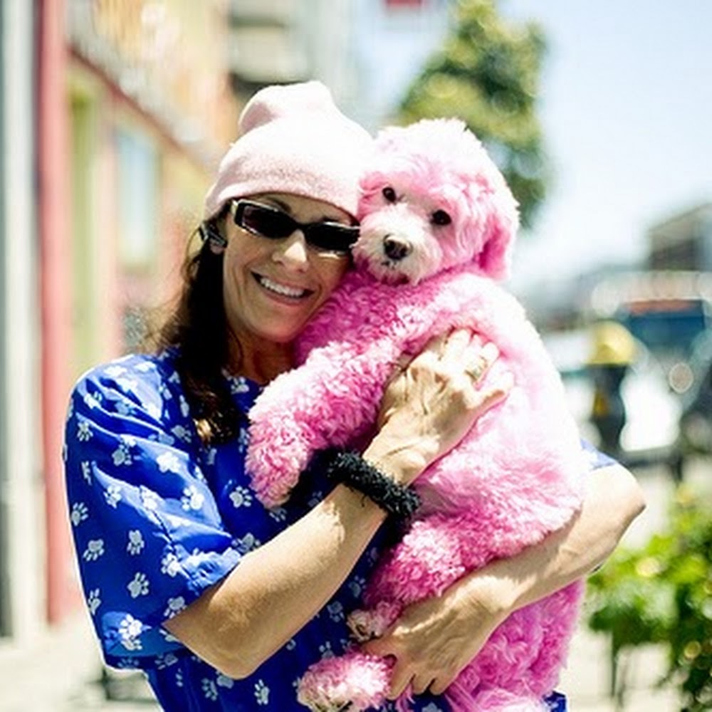 Meet your Posher, Sharon